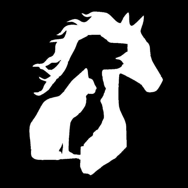 New Fashion 12.5*15.3CM ANIMAL LOVER Horse Dog Cat Car Sticker Vinyl Decal Funny Cartoon Car Accessories