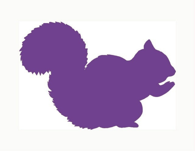 New Hot 10*13 cmHome Decorations Vinyl Decal Car Stickers Window Sticker Waterproof Sticker JDM Squirrel