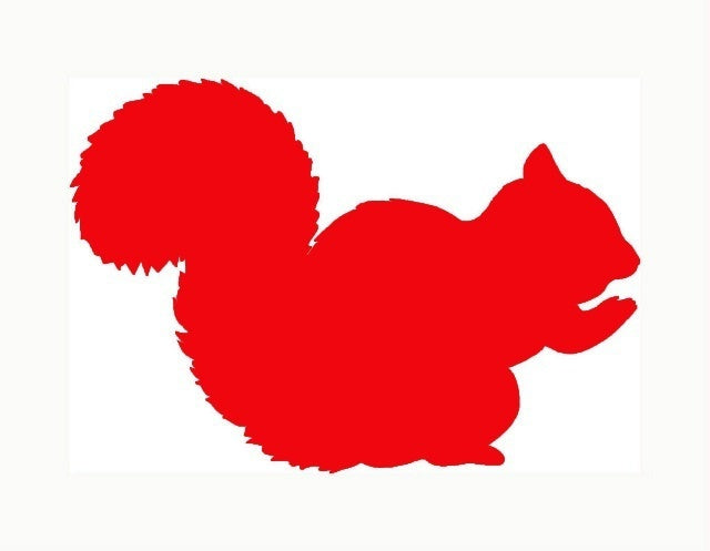 New Hot 10*13 cmHome Decorations Vinyl Decal Car Stickers Window Sticker Waterproof Sticker JDM Squirrel