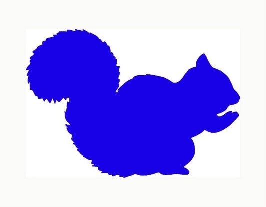 New Hot 10*13 cmHome Decorations Vinyl Decal Car Stickers Window Sticker Waterproof Sticker JDM Squirrel