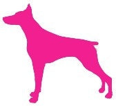 10*11 cm Doberman Dog Pinscher Animal Graphic Vinyl Decal Car Window Glass Bumper Sticker funny JDM Auto SUV Art Wall Laptop Laptop Waterproof Protector Refit