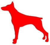 10*11 cm Doberman Dog Pinscher Animal Graphic Vinyl Decal Car Window Glass Bumper Sticker funny JDM Auto SUV Art Wall Laptop Laptop Waterproof Protector Refit