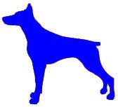 10*11 cm Doberman Dog Pinscher Animal Graphic Vinyl Decal Car Window Glass Bumper Sticker funny JDM Auto SUV Art Wall Laptop Laptop Waterproof Protector Refit