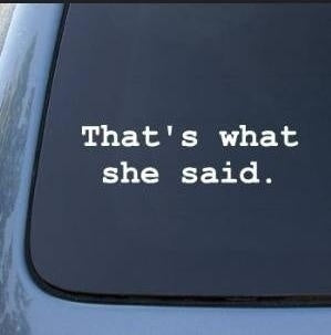 That's What She Said - the Office - Vinyl Car Decal Sticker car sticker