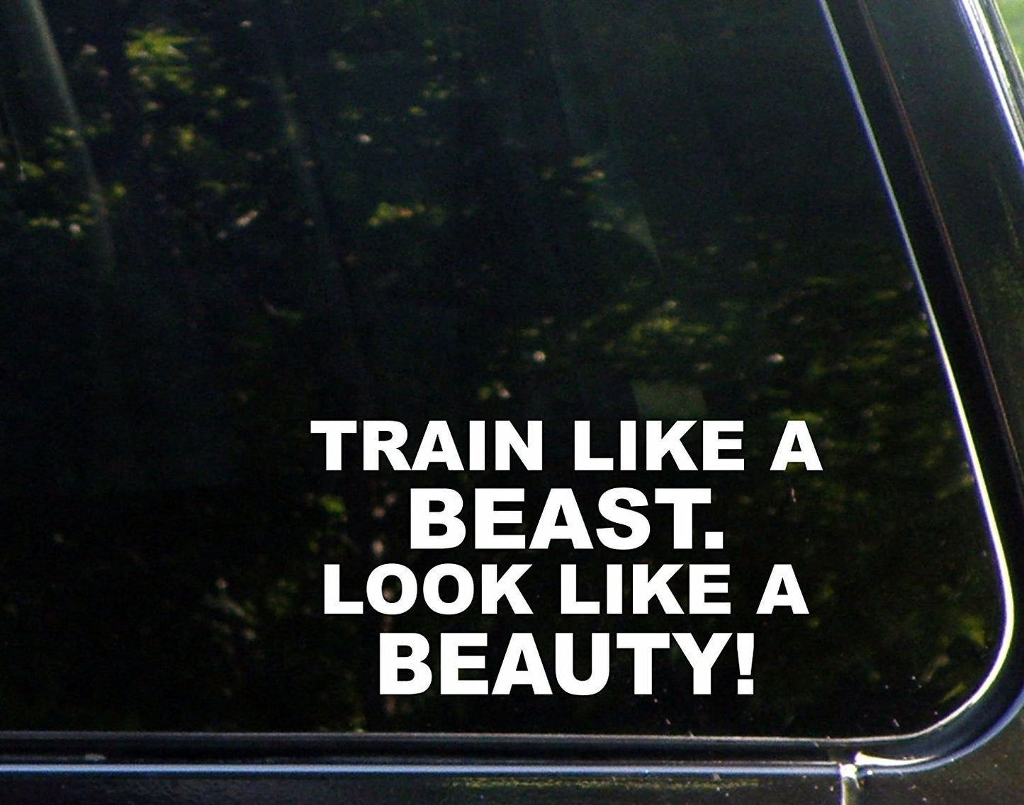 Hot Train Like a Beast Look Like a Beauty - 7inches X 4inches - Die Cut Decal/ Bumper Sticker for Lockers, Windows, Cars, Trucks, Laptops, Etc.