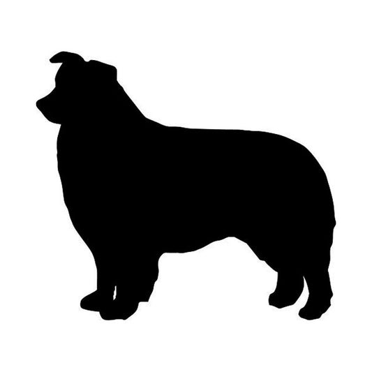 Hot 10.6*9.5CM Border Collie Dog Vinyl Decal  Car Window Stickers Car Styling Bumper Decoration