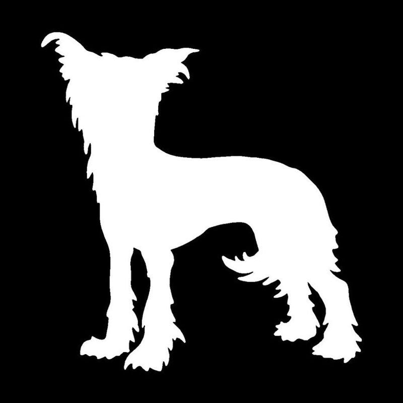 High-quality 11.9*12.7CM Chinese Crested Dog Car Stickers Funny Vinyl Decal Car Styling Bumper Accessories