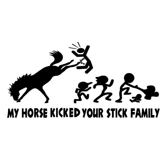 1pcs 10*20cm PVC My horse kicked your stick family Funny Car Decals Car Styling Motorcycle Sticker