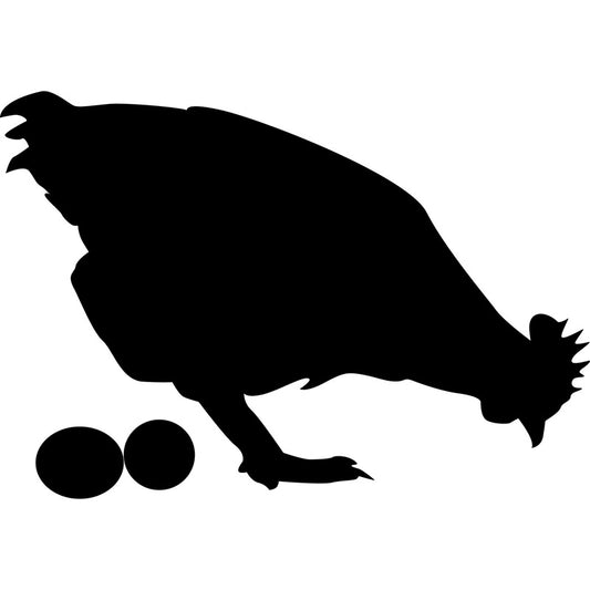 New Brand 15.3*10.6CM Chicken And Eggs Interesting Car-styling Vinyl Decal Car Stickers