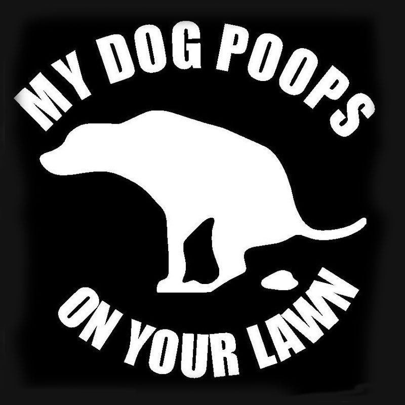 11.5CM*11.5CM MY DOG POOPS ON YOUR LAWN Funny Car Stickers Car styling