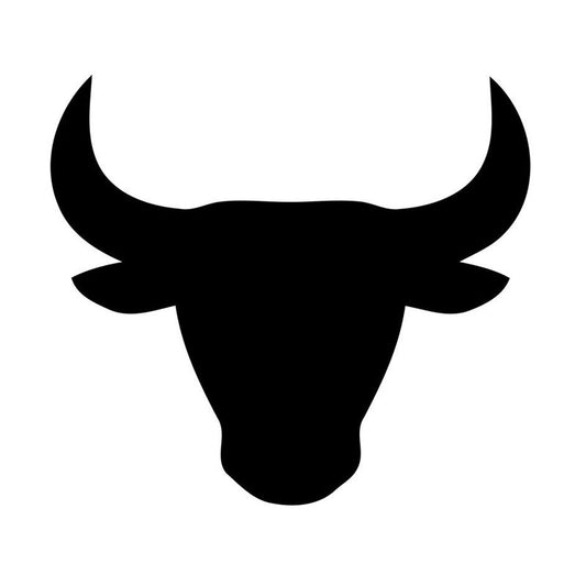 New Fashion Taurus Zodiac Astrology Sign Vinyl Car Window Decal Creative Car Stickers