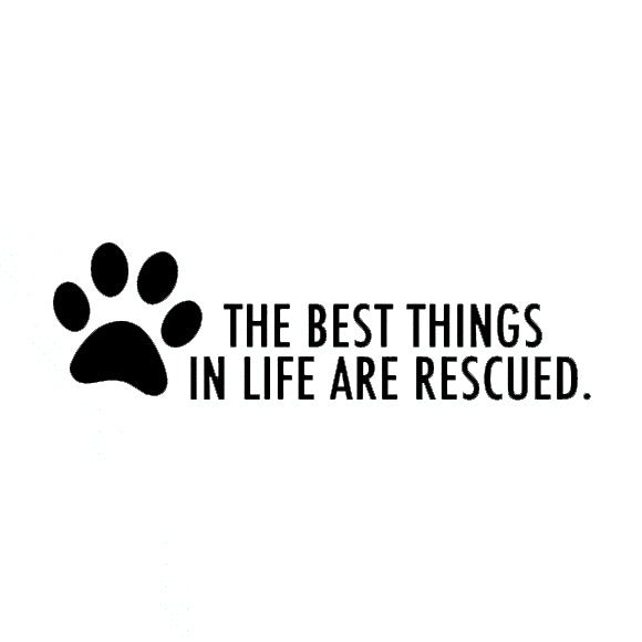 New Hot 1PCS 20*5.7cm Car Styling Stickers Dog Paw Cute Cartoon Car Stickers Vinyl Decal Personality Waterproof Accessories