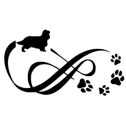 High-quality 18*10CM Cavalier King Charles Spaniel Animal Paw Print Car Stickers Vinyl Decal Car Styling Decoration