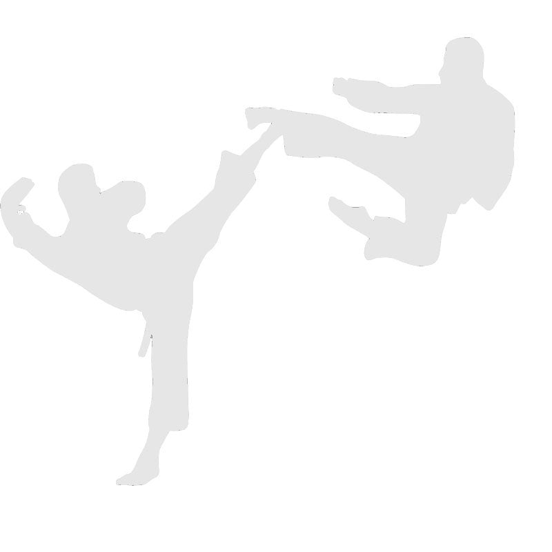 2018 NEW Funny Karate Martial Battle wonderful dynamic stimulus Arts Graphic Car Sticker For Truck Window Door Kayak Vinyl Decal 7 Colors