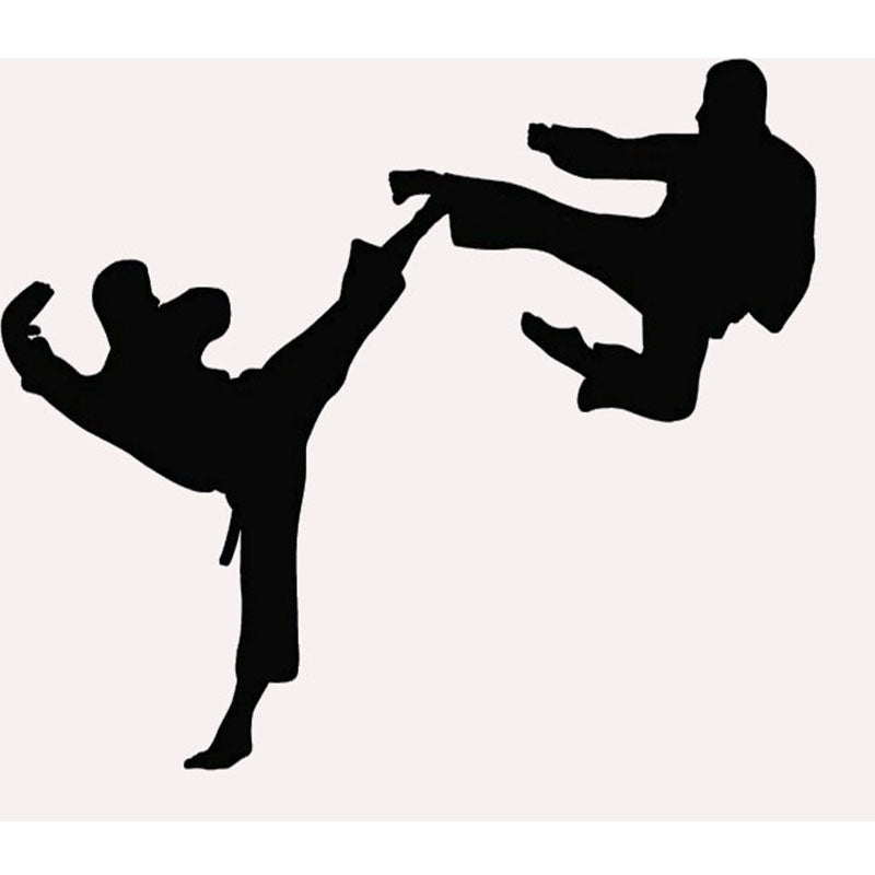 2018 NEW Funny Karate Martial Battle wonderful dynamic stimulus Arts Graphic Car Sticker For Truck Window Door Kayak Vinyl Decal 7 Colors