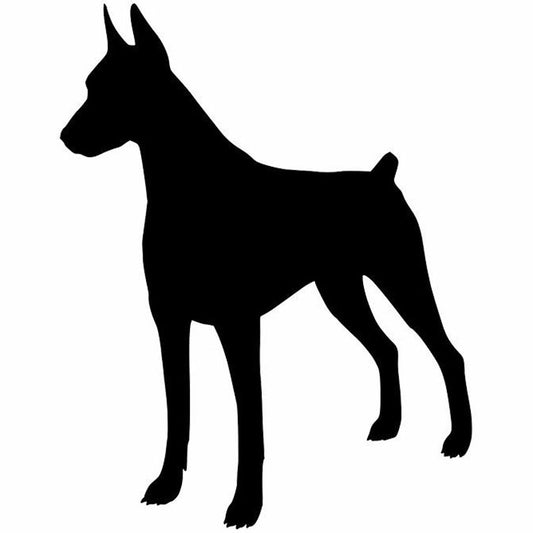 New Hot 11.8*15CM Doberman Pinscher Dog Window Decoration Vinyl Decal Car Bumper Stickers Black/Silver/red/white