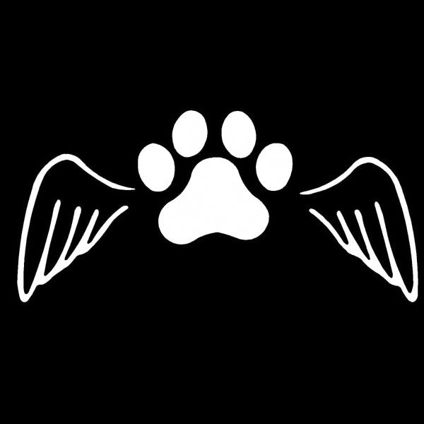New Fashion 1PCS 14*7CM Pet Dog Cat Paw Print Angel Wings Car Accessories Vinyl Car Sticker Motorcycle Fine Decals