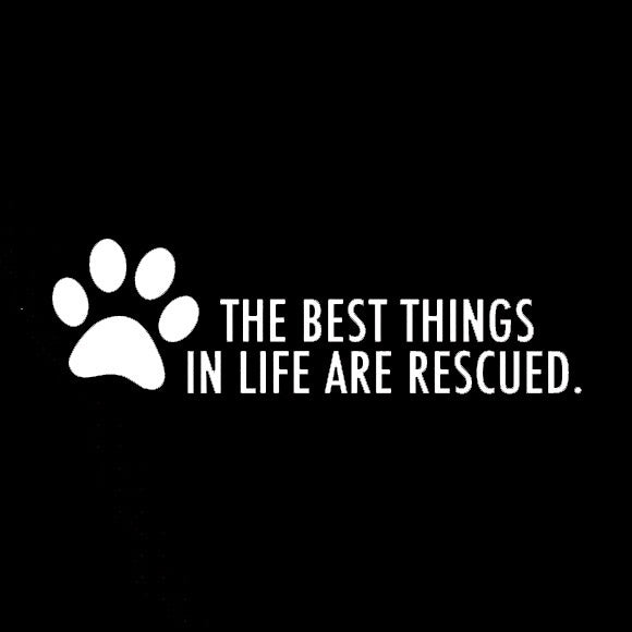 New Hot 1PCS 20*5.7cm Car Styling Stickers Dog Paw Cute Cartoon Car Stickers Vinyl Decal Personality Waterproof Accessories