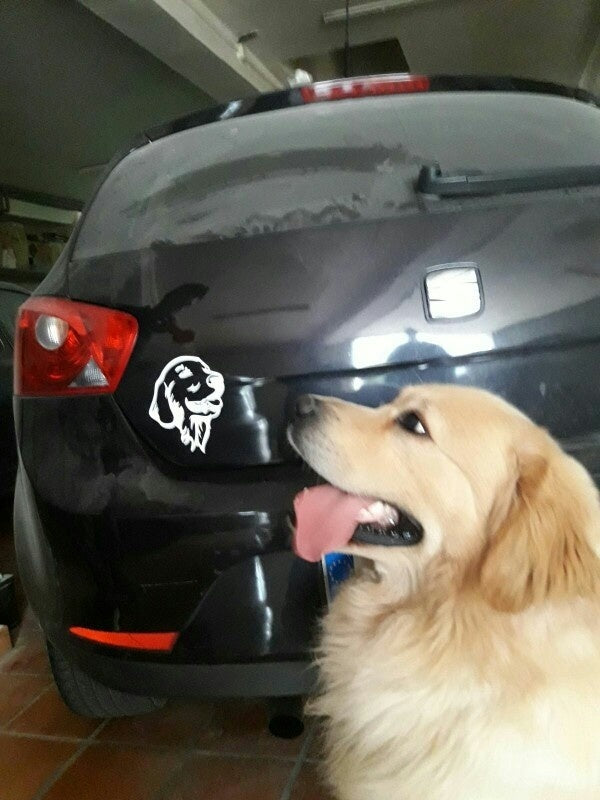 12.2*14.7CM Golden Retriever Dog Car Bumper Stickers Cute Pet Dog Decals Car Styling Decoration Accessories