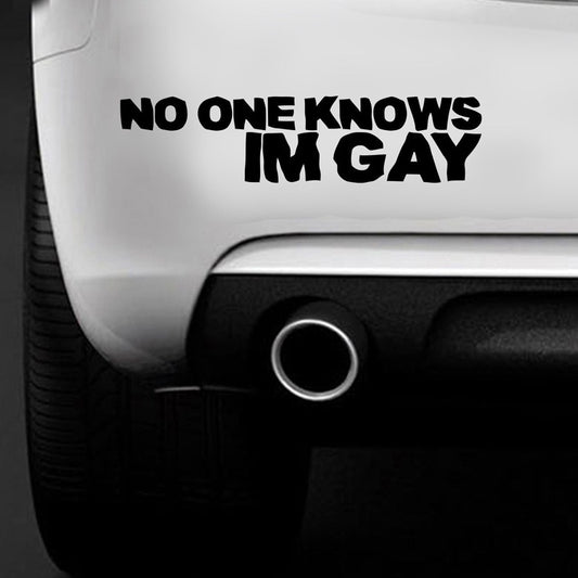 New Hot NO ONE KNOWS IM GAY Funny Car Bumper Sticker