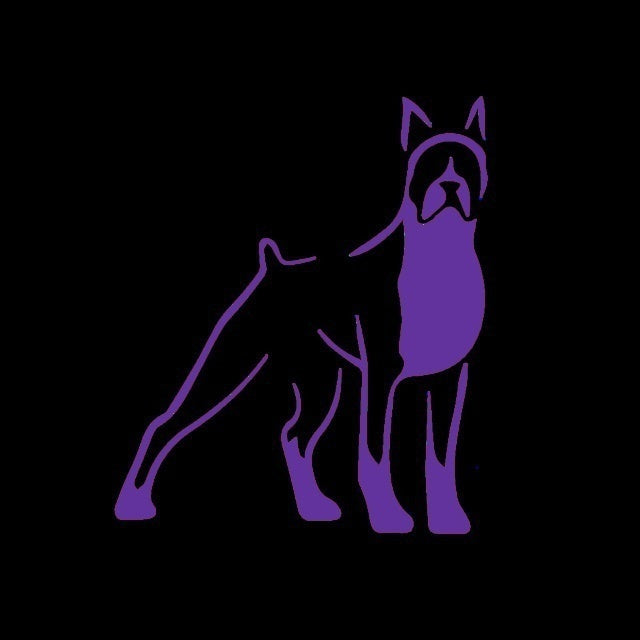New Fashion   12.9*15.2 cm Home Decorations Vinyl Decal Car Stickers Window Sticker Waterproof Sticker Jdm Saluki Boxer Dog Puppy