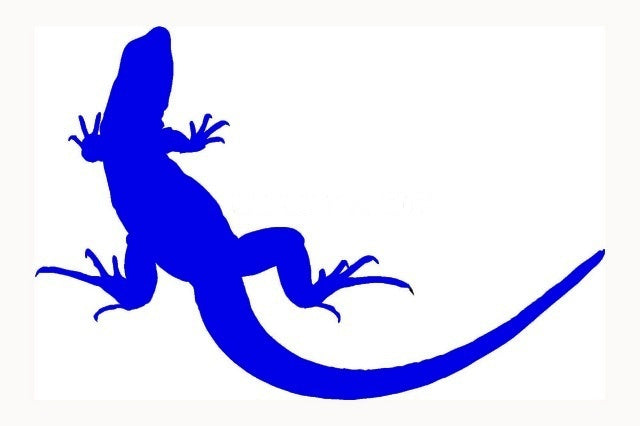 2018 NEW   20.3*13.3 cm Lizard JDM Graphic Vinyl Decal Car Sticker Windshield Window Glass Bumper Funny Truck Auto Door SUV Art Wall Laptop Waterproof Protector Refit