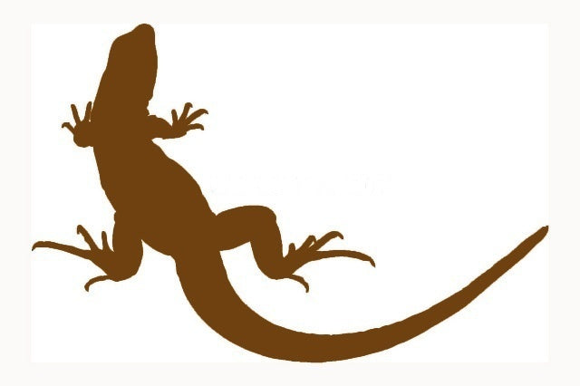 2018 NEW   20.3*13.3 cm Lizard JDM Graphic Vinyl Decal Car Sticker Windshield Window Glass Bumper Funny Truck Auto Door SUV Art Wall Laptop Waterproof Protector Refit