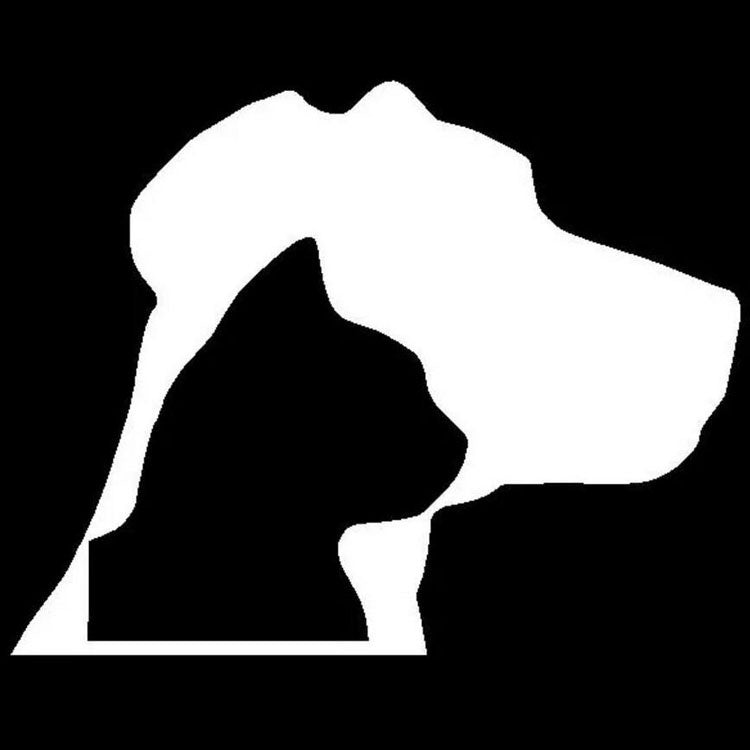 High-quality Black or White Cute Stickers Car Styling Cats And Dogs Pet Lovers Car Window Wall Decal Home Decor Stickers Motorcycle Styling Accessories