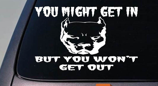High-quality   YOU MIGHT GET IN  American pit bull pitbull BULLY 6"sticker decal apbt DOG Car Sticker