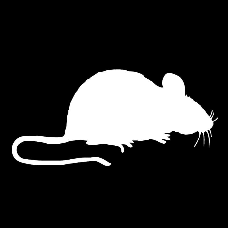 High-quality   Cute Little Animal Rat Mouse Car Sticker