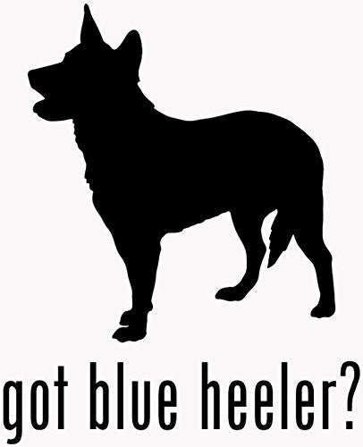 New Fashion    Got Blue Heeler Cattle Herding Dog Pet Car Truck Window Bumper Vinyl Graphic Decal Sticker