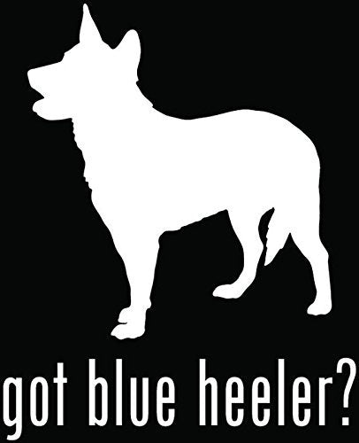 New Fashion    Got Blue Heeler Cattle Herding Dog Pet Car Truck Window Bumper Vinyl Graphic Decal Sticker