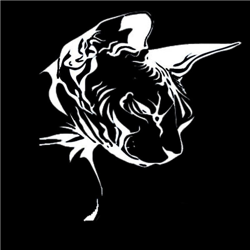 New Hot   15.3 Cm * 16 Cm  Sphynx Cat Decal  Vinyl Car Styling Nice Cool Motorcycle Accessories