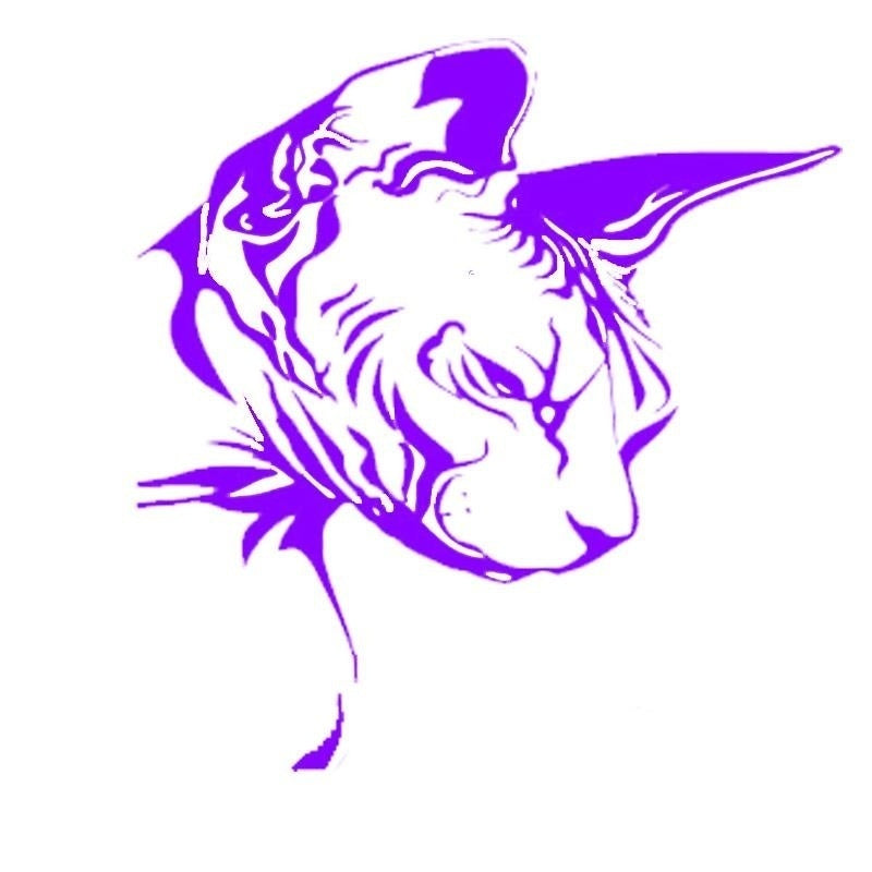 New Hot   15.3 Cm * 16 Cm  Sphynx Cat Decal  Vinyl Car Styling Nice Cool Motorcycle Accessories