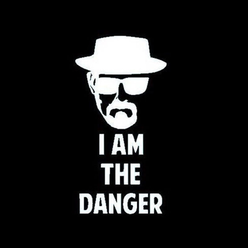 Fashion  9CM*18CM Personalized  I Am The Danger Funny Vinyl Window Stickers