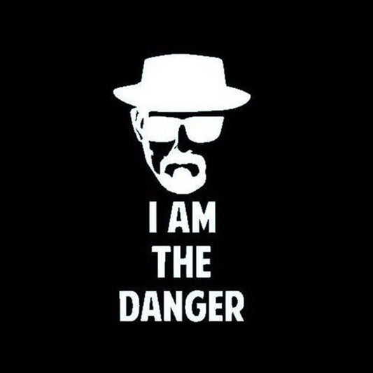 Fashion  9CM*18CM Personalized  I Am The Danger Funny Vinyl Window Stickers