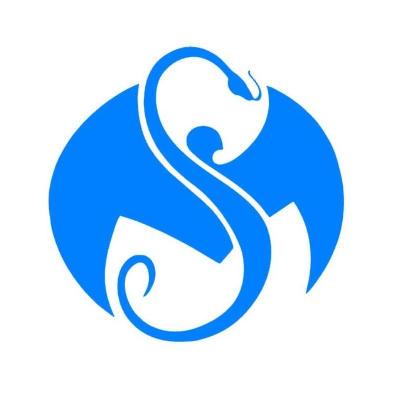 13 cmx13 cm Strange Music Snake Triba JDM Graphic Vinyl Decal Car Sticker Windshield Window Glass Bumper Funny Truck Auto Door SUV Art Wall Laptop Waterproof Protector Refit