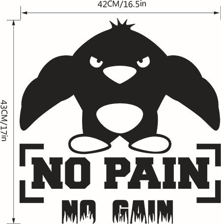 Fashion   Gym Wall Sticker No Pain No Gain Fitness Sports Muscled Bodybuilding Vinyl Decal