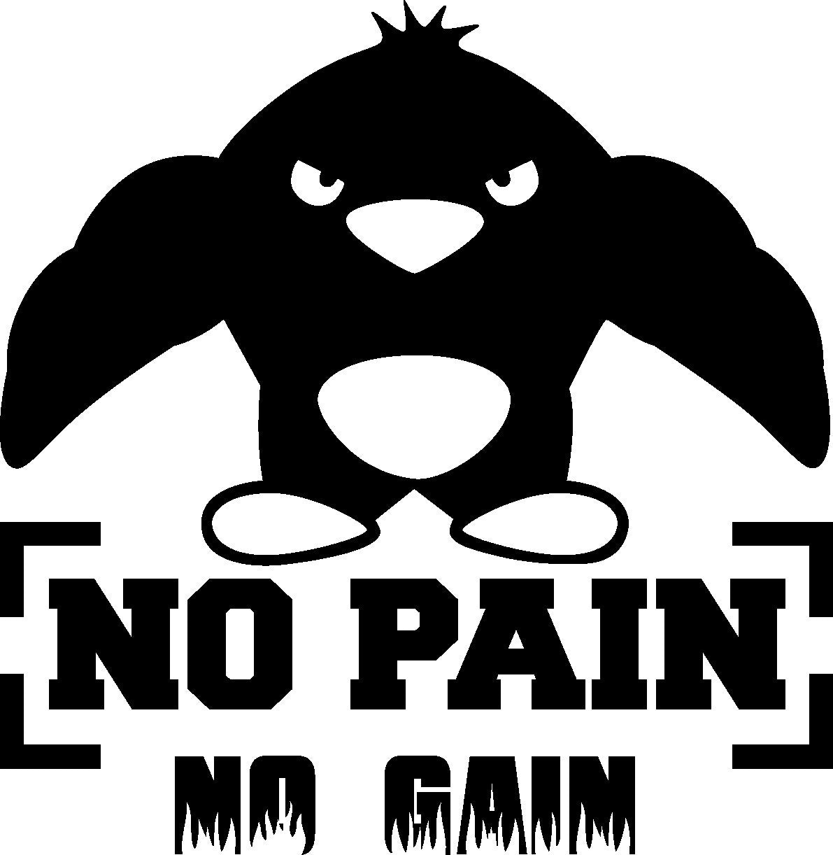 Fashion   Gym Wall Sticker No Pain No Gain Fitness Sports Muscled Bodybuilding Vinyl Decal