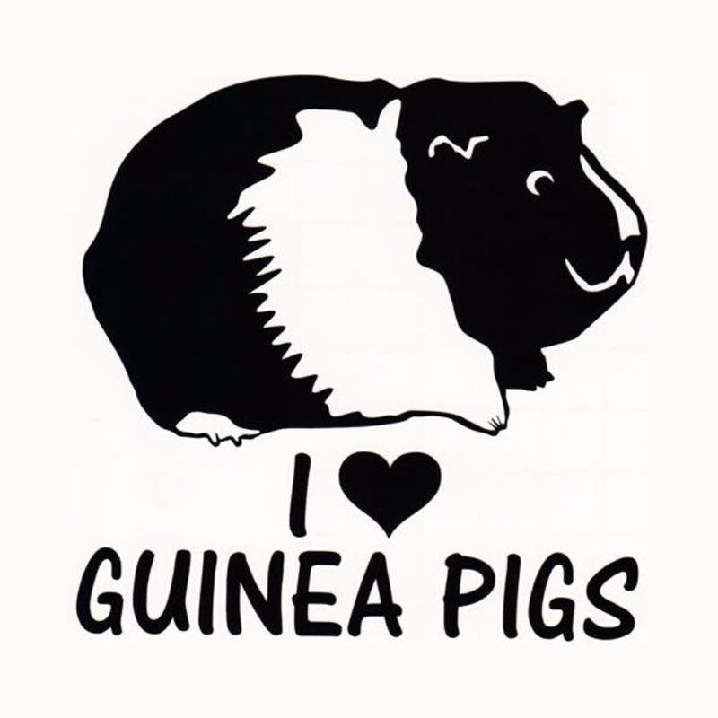 Personality Animal I LOVE GUINEA PIGS Cute Cartoon Vinyl Window Stickers