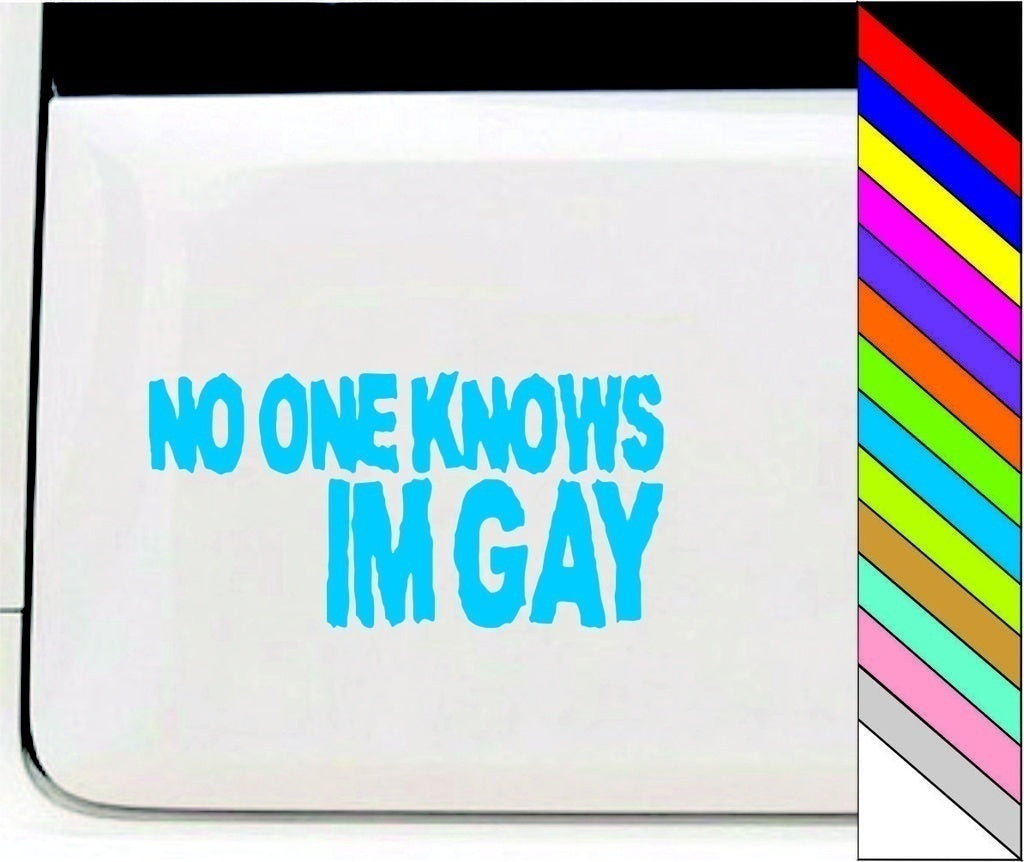 2018 NEW   NO ONE KNOWS IM GAY Funny Car/Bumper/Window Vinyl Decal Stickers Car Decor Waterproof