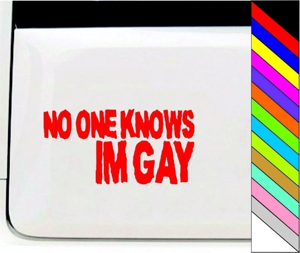 2018 NEW   NO ONE KNOWS IM GAY Funny Car/Bumper/Window Vinyl Decal Stickers Car Decor Waterproof