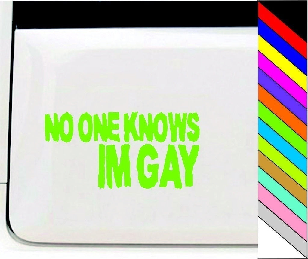 2018 NEW   NO ONE KNOWS IM GAY Funny Car/Bumper/Window Vinyl Decal Stickers Car Decor Waterproof