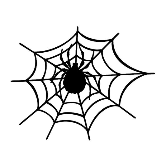 Bug In Spider Web Funny Car Stickers
