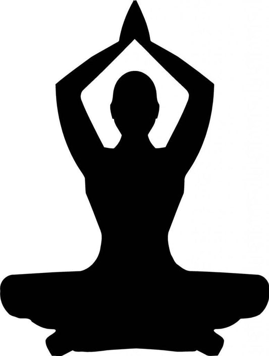 Hot  Yoga pose vinyl wall art decal