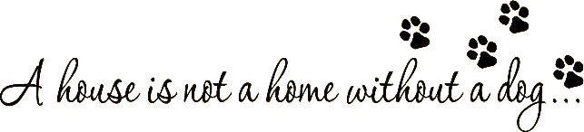 New Hot   House Home Without A Dog Art Decal Wall Quote Inspiration Bedroom Sticker Decor