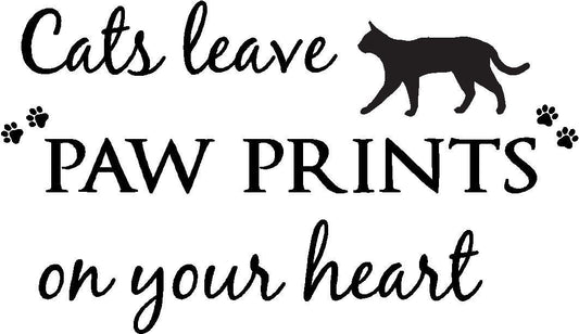 2018 NEW   Cats leave paw prints on your heart cute pet vinyl wall quotes decals sayings art lettering
