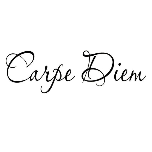New Fashion   Carpe Diem Vinyl Wall Decal Inspirational Quote Seize the Day Wall Art Saying