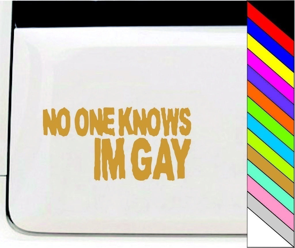 NO ONE KNOWS IM GAY Funny Car/Bumper/Window Vinyl Decal Stickers Car Decor Waterproof