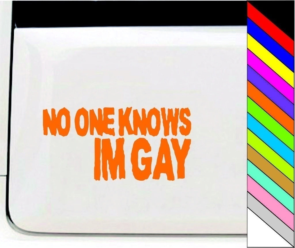 NO ONE KNOWS IM GAY Funny Car/Bumper/Window Vinyl Decal Stickers Car Decor Waterproof
